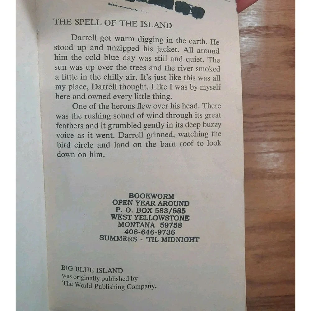 Big Blue Island by Wilson Gage, Paperback - Acceptable